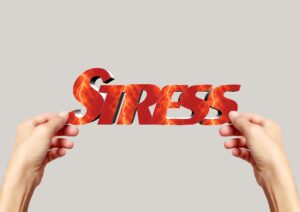 Les mécanismes du stress
